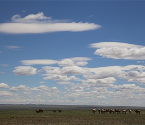 Bactrian Camels and huge skies in Gobi Desert