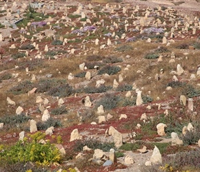 Moroccan Graveyard