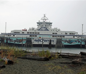 Comox Ferry Orca