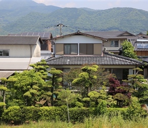 Topiary outside Kumamoto