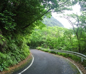 Road on Yakushima Island