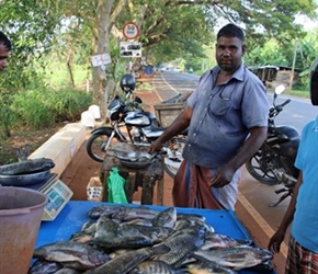 Roadside fish sellers