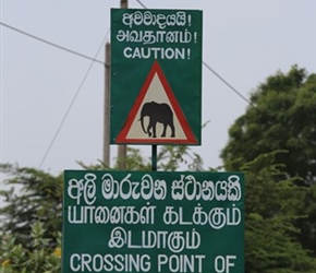 Elephant crossing point sign