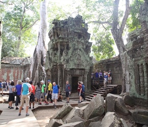 Group at Ta Prohm