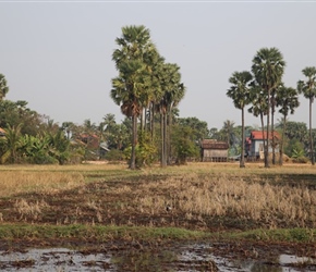 Countryside near Pursat