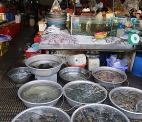 Fish in Central Market Phnom Penh