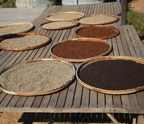 Red, White and Black Pepper drying