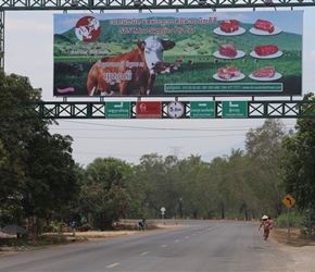 Meat sign on Road to Sihanoukville, Cambodia