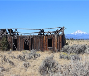 Abandoned wooden house and Mount Jefferson
