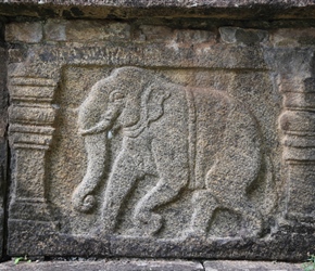 Elephant carvings on Assembly Hall at Polonnaruwa