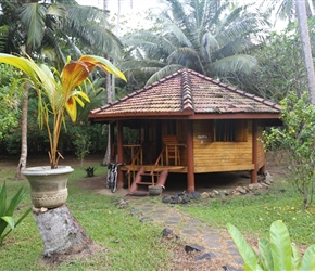 Cabin at Palm Paradise Cabanas