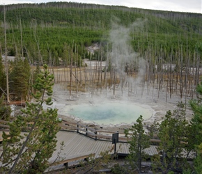 Norris Geyser Basin is the hottest, oldest, and most dynamic of Yellowstone's thermal areas. The highest temperature yet recorded in any geothermal area in Yellowstone was measured in a scientific drill hole at Norris: 459°F (237°C) just 1,087 feet (