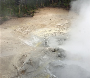 The Sulphur Caldron in Yellowstone National Park is one of the park’s most acid hot springs, with yellow and turbulent waters reminding one of an evil witch’s brew
