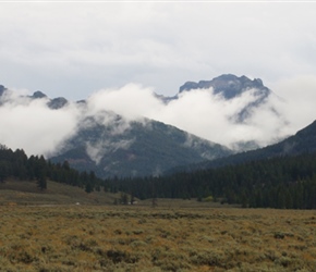 Lamar Valley, it was a cold and cloudy day