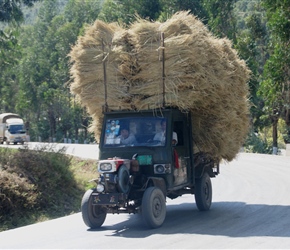 Truck loaded with rice straw plods uphill