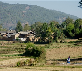 Fields, farmers and village