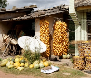 Satellite dish and vegetables. These large dishes are a common sight in remote areas