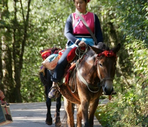 As we ascended Jade Mountain the pretty lady on the horse descended the steps
