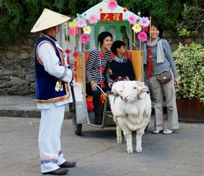 Sheep and carriage in Old Dali, it struck me that it was al about the picture in this tourist town