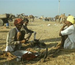 Camel drovers at Pushkar
