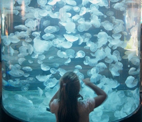 Afternoon trip to Cite de la Mer in Cherbourg, Louise checks out the jellyfish