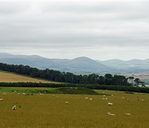 The Cheviot Hills from the Chillingham Road