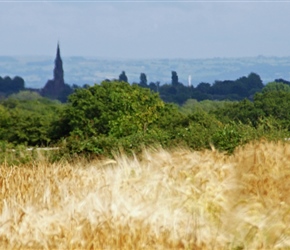 Church spire and corn fields