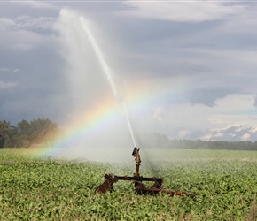 Sprinkler creates a rainbow