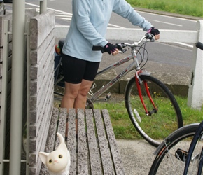 Emma spies a cat on the Ciney to Huy cyclepath