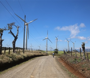 Windmills on track to Route 6