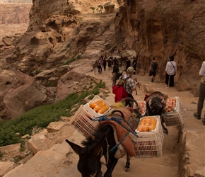 Delivering oranges to the Monestary. They seemed to know the way as they plodded up the path, faster than most tourists