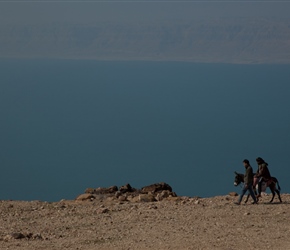 Donkey and the Dead Sea