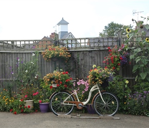Flowers at  Holt. Apparantly this bike could still be ridden