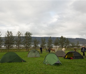 Our campsite for the night, in a  paddock at Bjarteyjarsandur