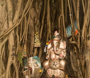 A small religious statue tucked inside a Banyon Tree