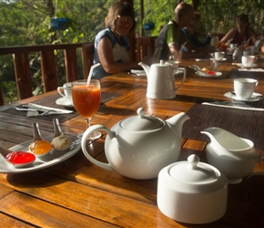 It was quite some breakfast at Tea Forest Lodge