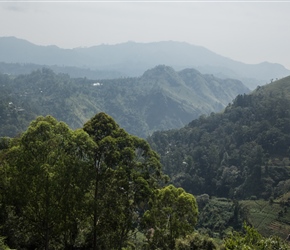 From the minor road cycled along the escarpment, you could look left and see Little Adams Peak