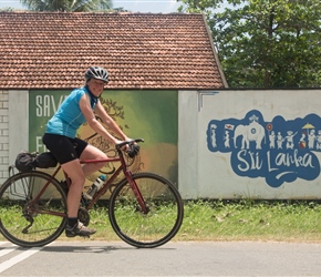 Sharon passes the Sri Lankan mural