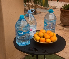 Water and freshly picked tangerines from the tree to fuel us on the day