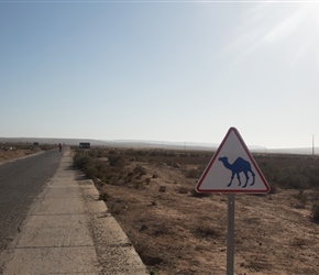 Watch out for camels. One of the few highlights on that road from Massa to Aglou