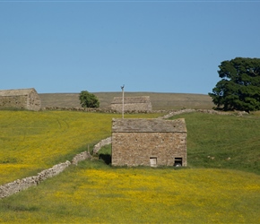 Stone Barns are omnipresent in the Dales. Used for cattle, there have mostly listed status
