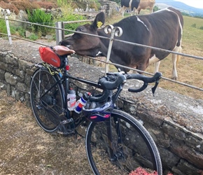 We ate the ice creams at the farm, the cow ate the bike bag