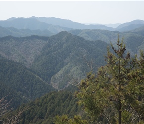 More of a reality shot. You'd expect fine views from the top of the descent at Koyasan, but there are a lot of tress here