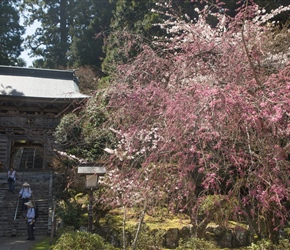 Pilgrims descend the steps from one of the temples to the main complex in Tairyuji Temple