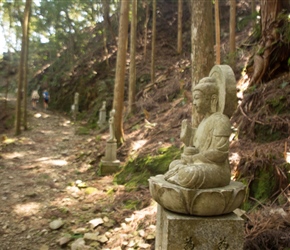 Up the path to the Buddha