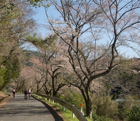 Along the Naka, the roads were very quiet