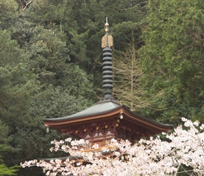 Temple 36, Seiryuji Temple