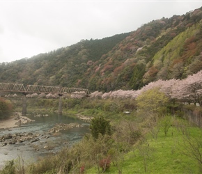 A scenic railway parallels the Shimanto river making its way through tunnels and over bridges