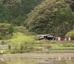 The narrow road on the west side of the River having crossed Okawa Bridge was very scenic