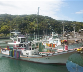 We passed Asahimachi Harbour where coloured ropes from the fishing boats made a pretty picture